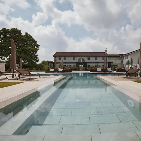 Zappare Farm Trevignano