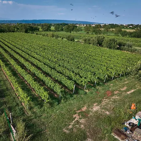 Zappare Farm *