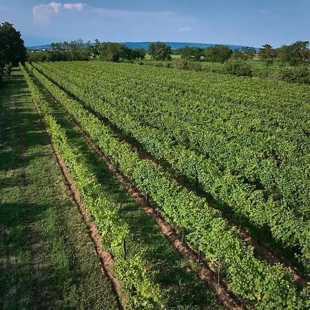 Zappare Farm * Trevignano