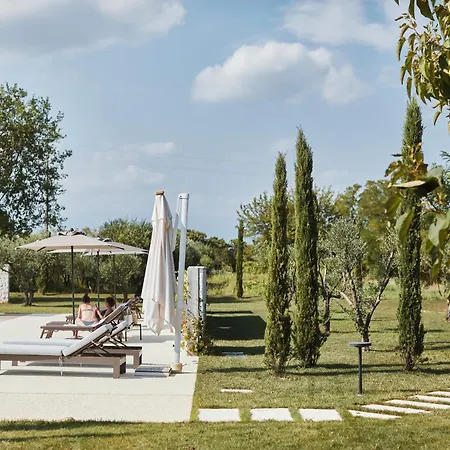 Zappare Farm Trevignano