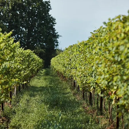 Zappare Farm * Trevignano