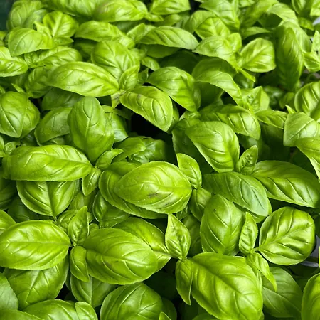 Zapparè Alloggio per agriturismo *